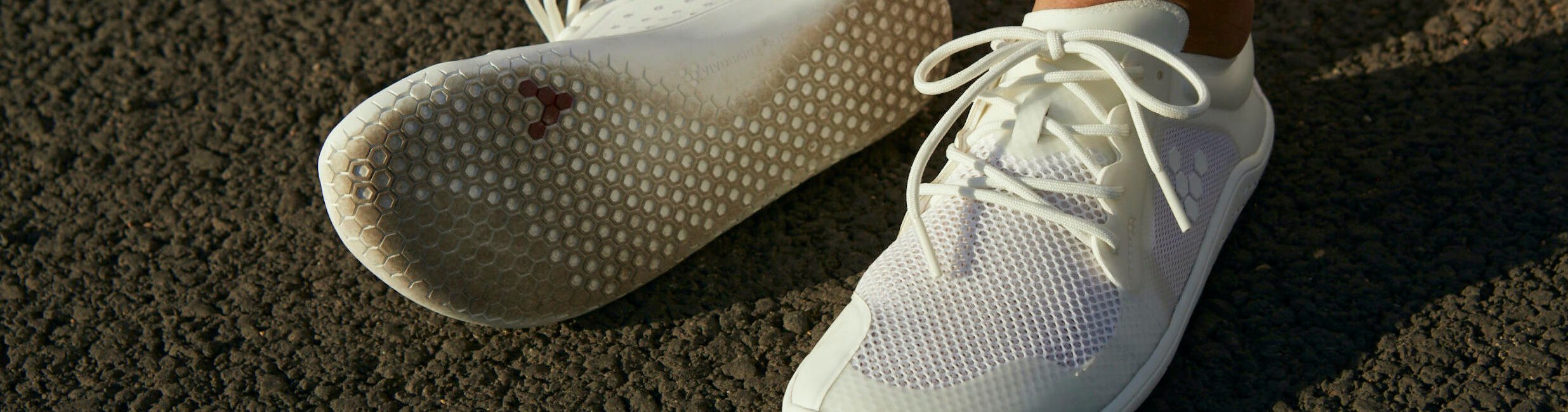 191118_Vivo_2042 copy-1