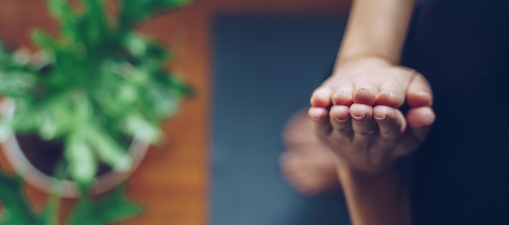 AdobeStock_191510103-2 AdobeStock_191510103-2