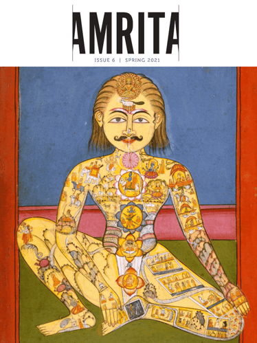 Amrita 6 cover-1