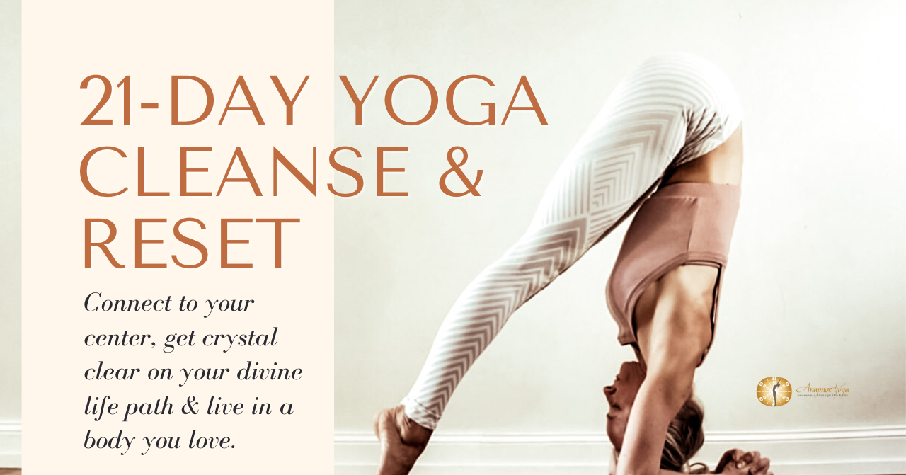 Cleanse & Reset namastream-1