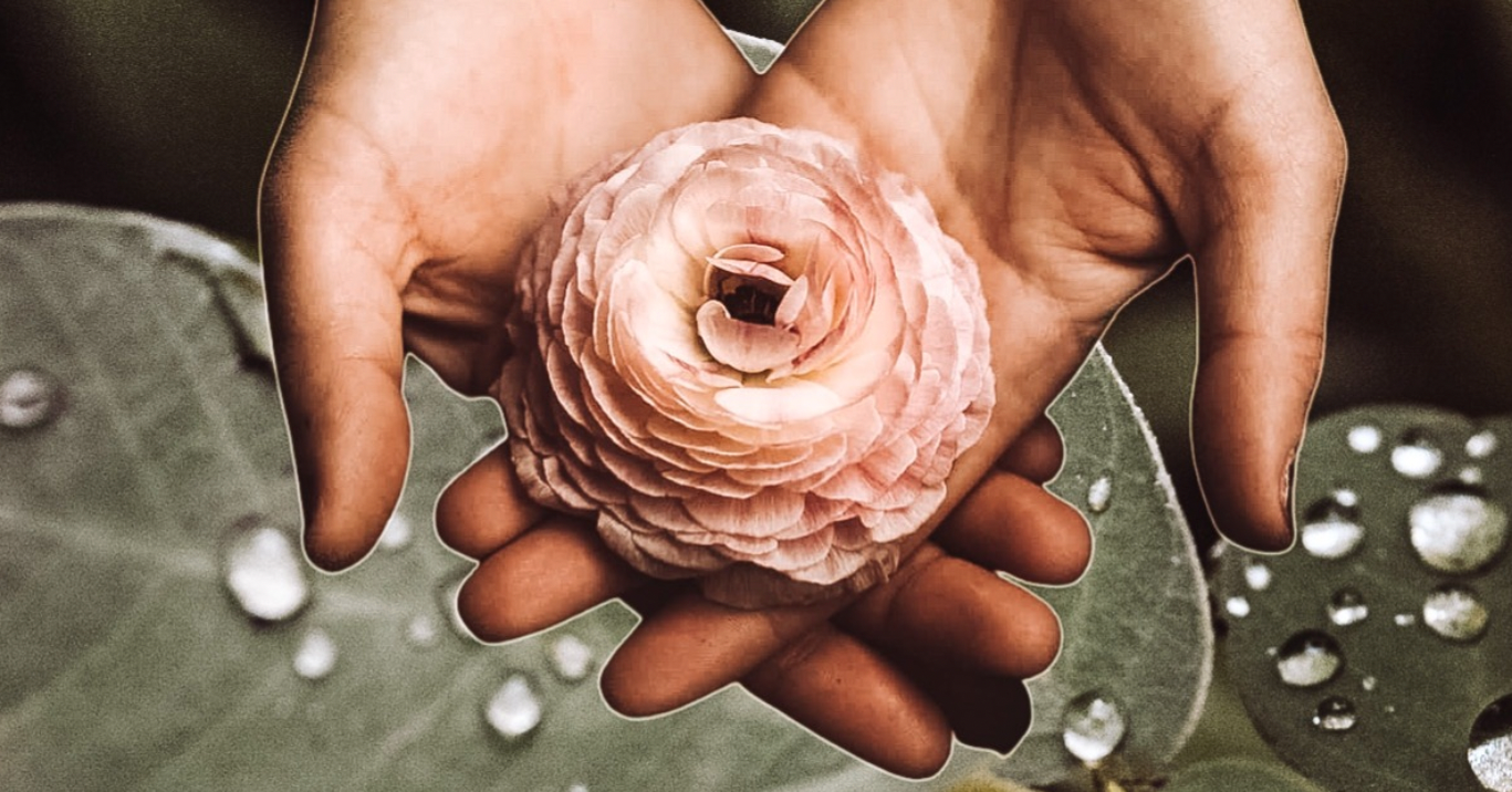 Screenshot 2022-11-18 at 17-50-04