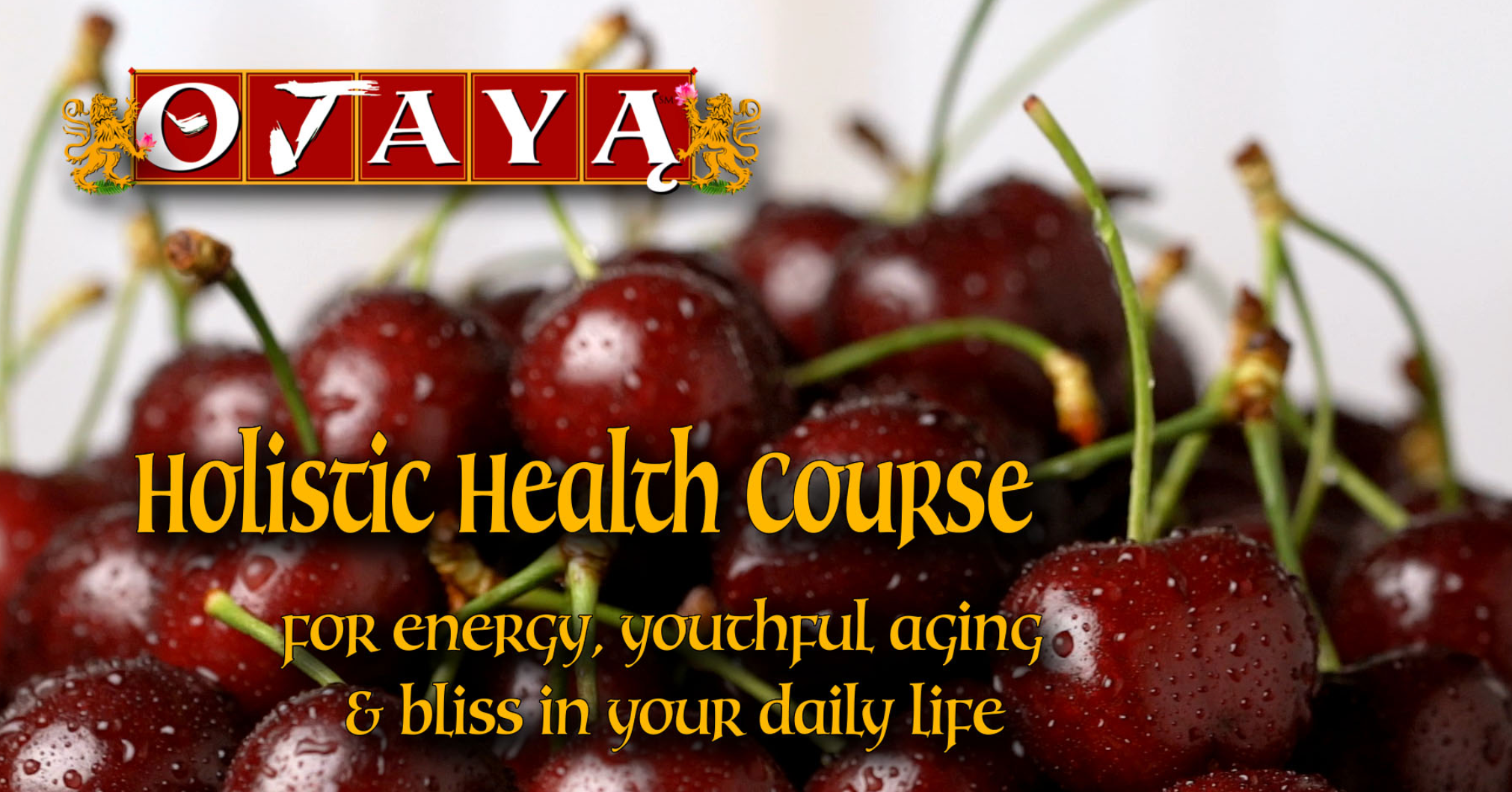 Screenshot 2023-08-23 at 08-58-12